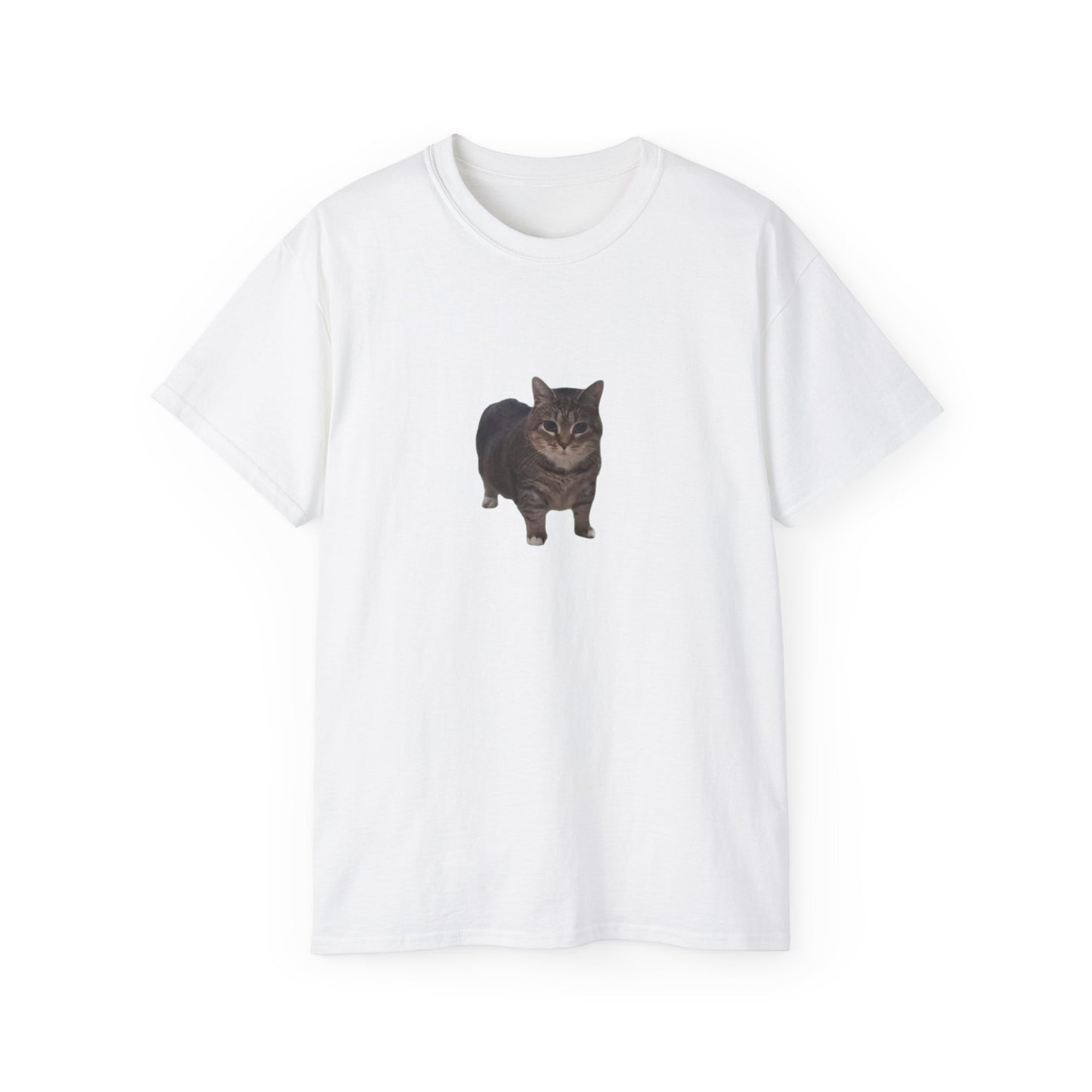 Cat Lover's Unisex Ultra Cotton Tee - 'Oui AI Oui' Design