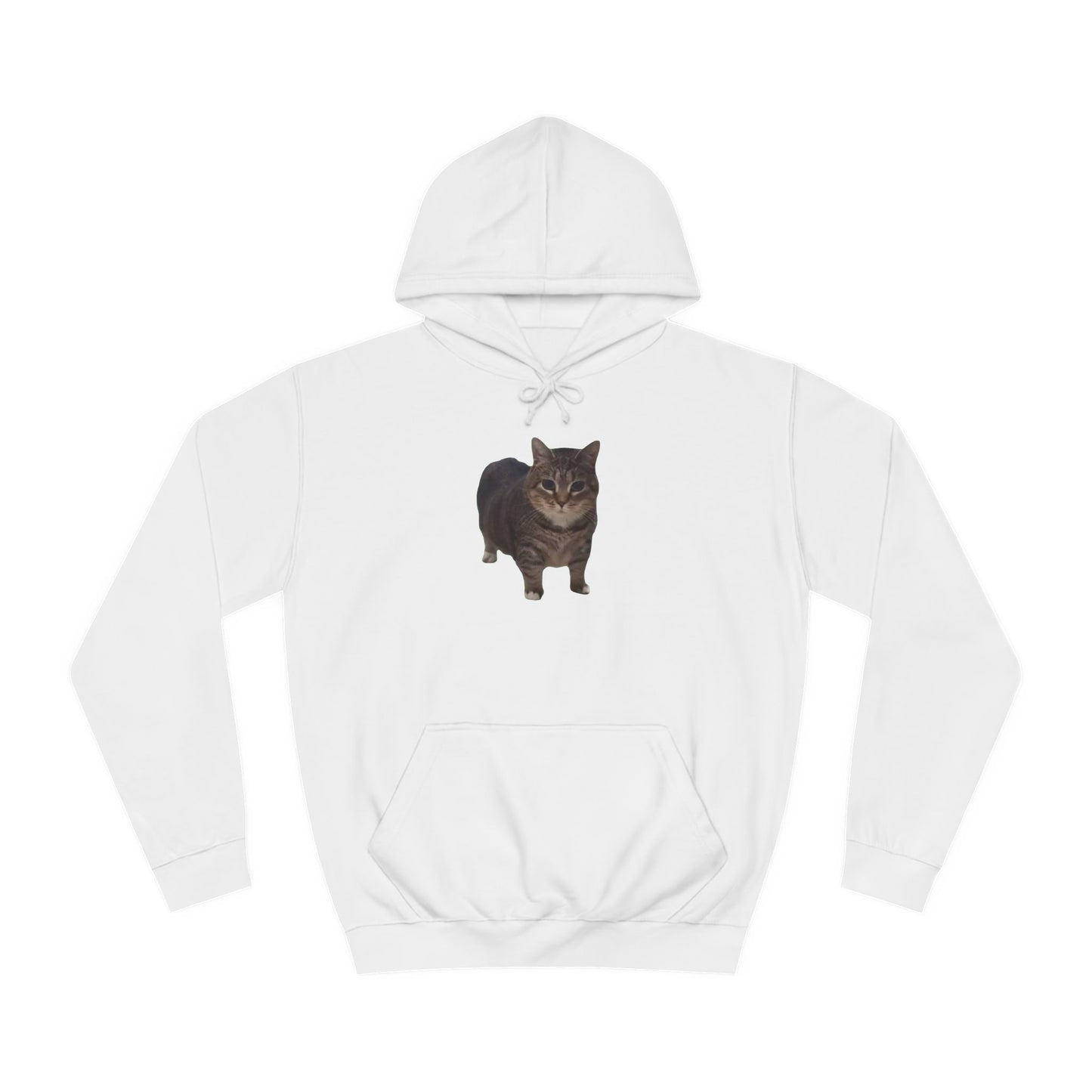 Unisex College Hoodie - Cat Design with 'OIAI OUI AI' Back Print