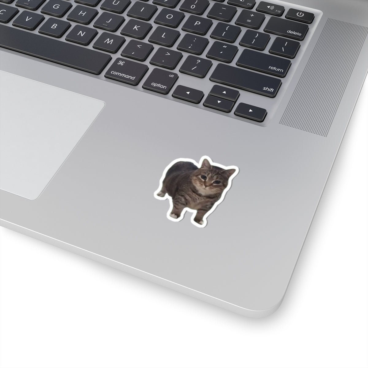 OIA AI Cat Kiss-Cut Stickers for Pet Lovers