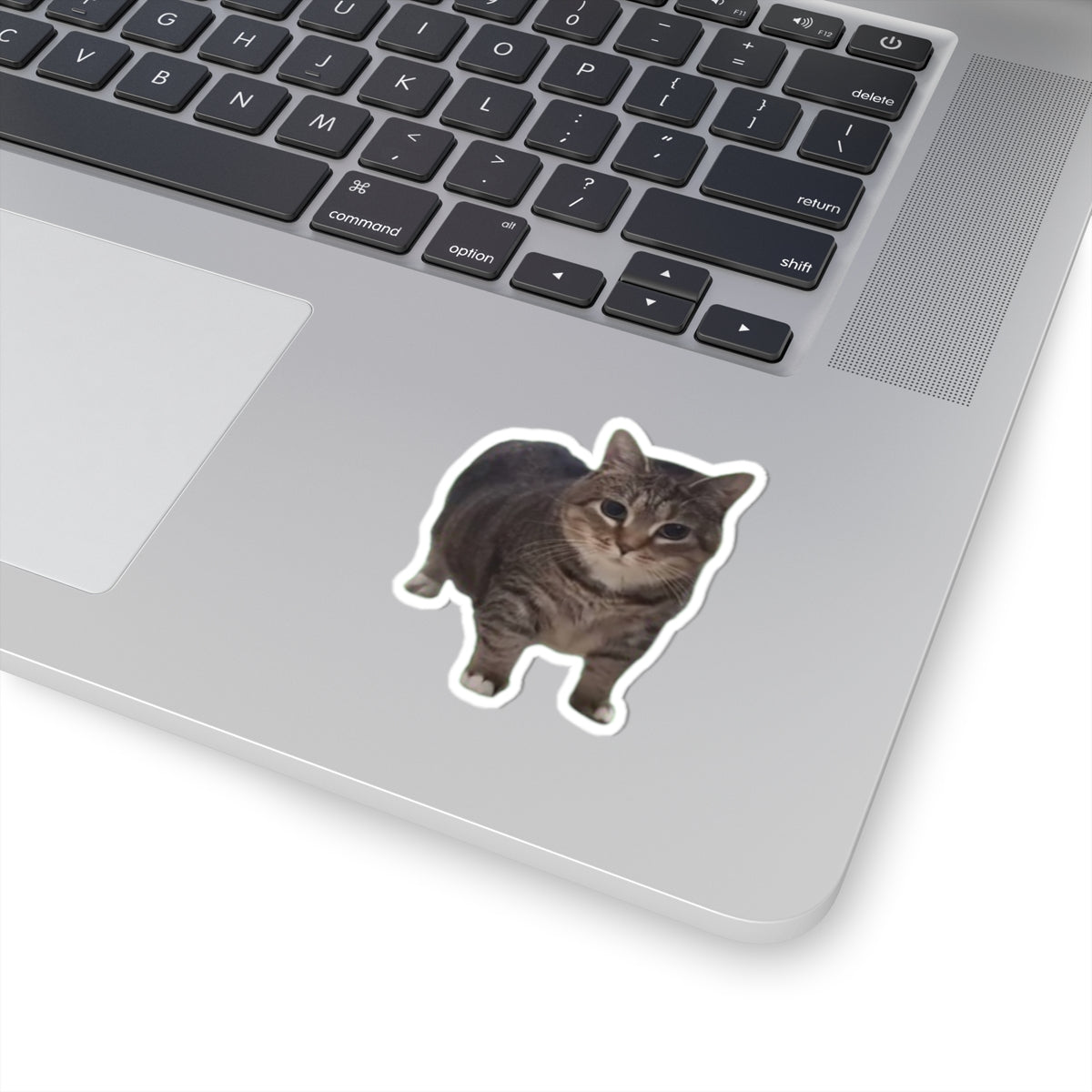 OIA AI Cat Kiss-Cut Stickers for Pet Lovers