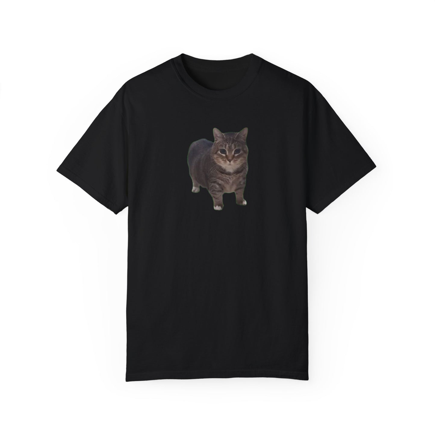 Unisex Garment-Dyed T-shirt OIA AI cat large logo