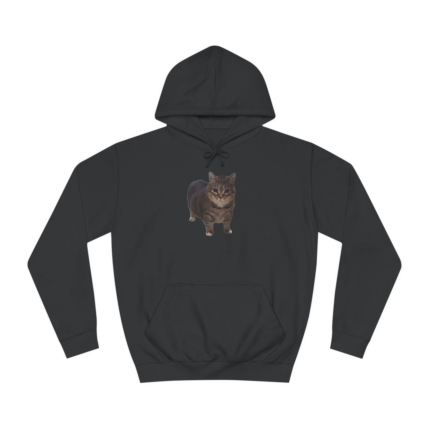 Unisex College Hoodie - Cat Design with 'OIAI OUI AI' Back Print