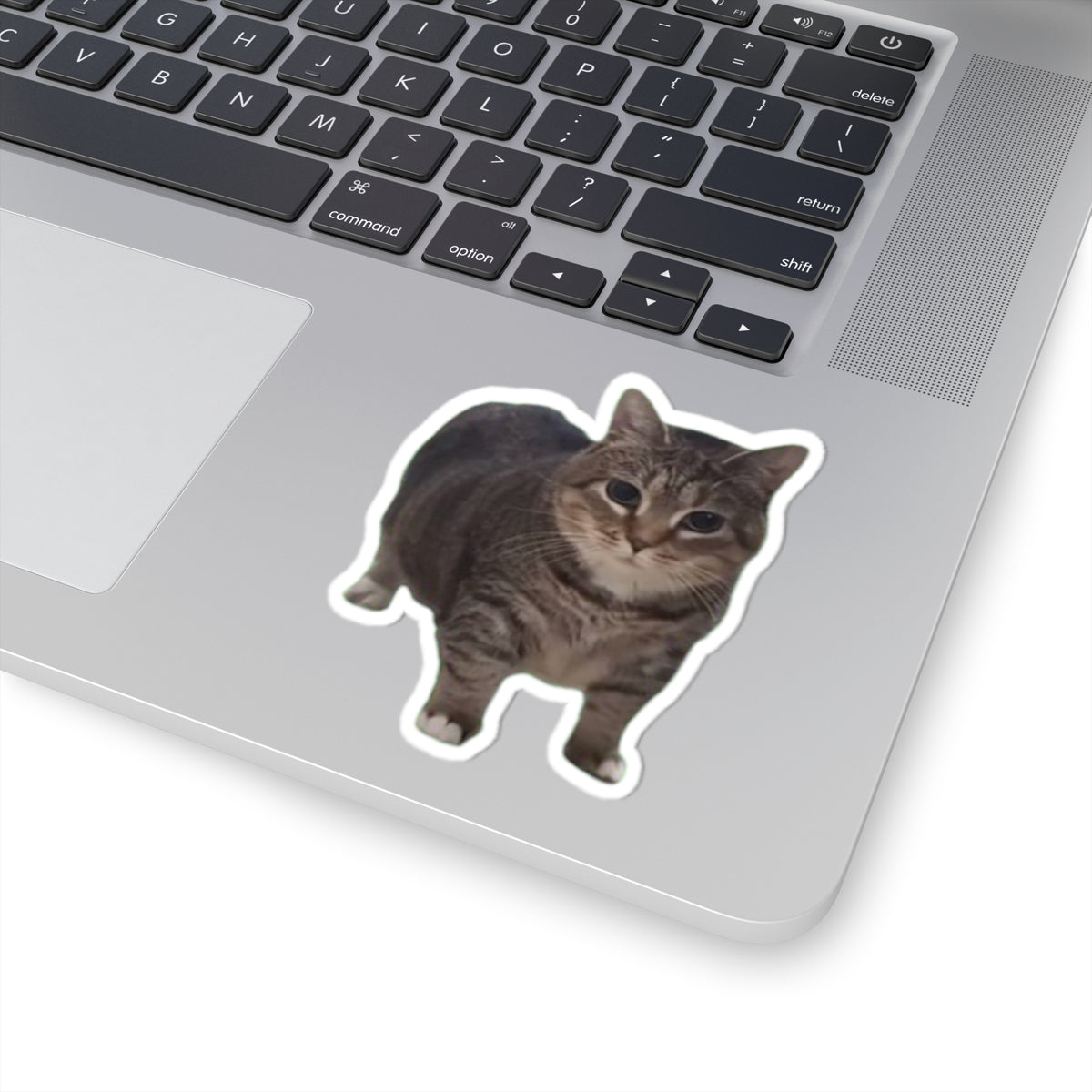 OIA AI Cat Kiss-Cut Stickers for Pet Lovers