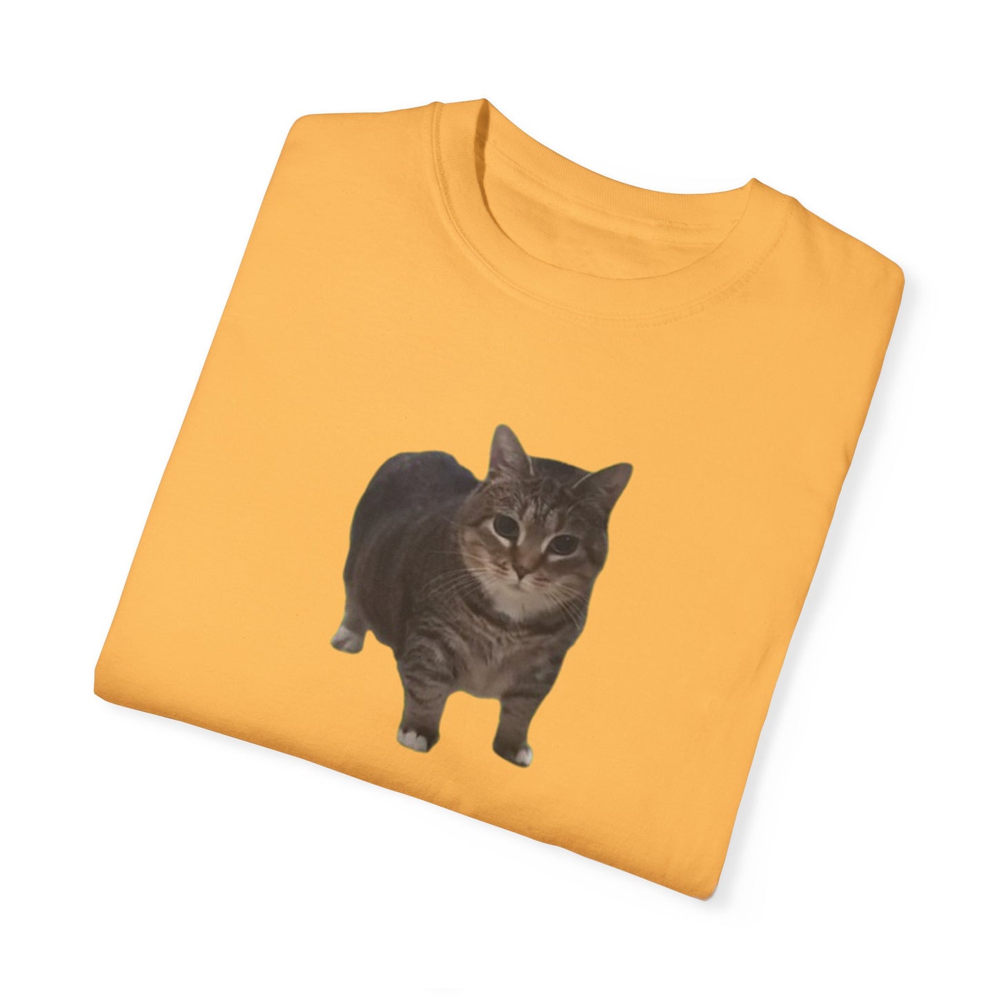 Unisex Garment-Dyed T-shirt OIA AI cat large logo