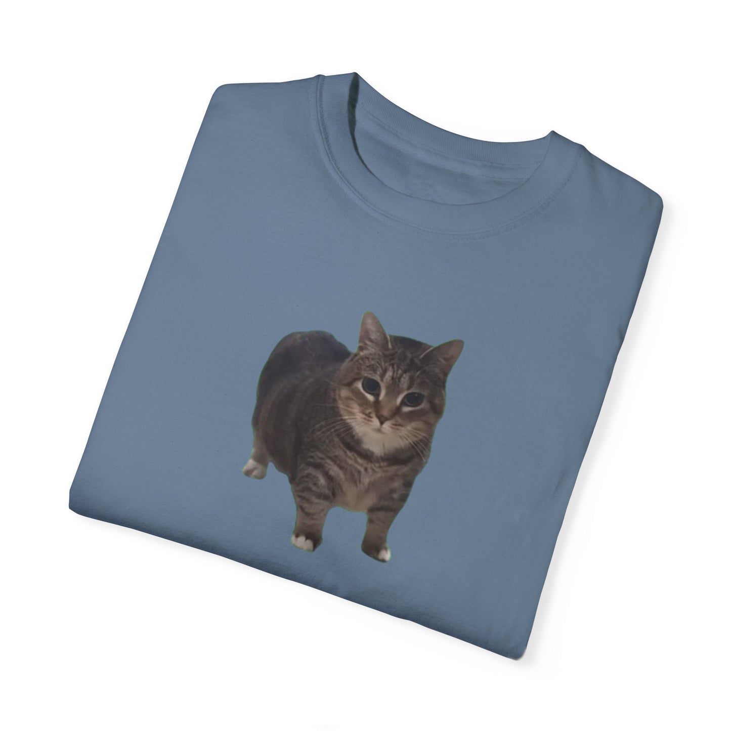 Unisex Garment-Dyed T-shirt OIA AI cat large logo