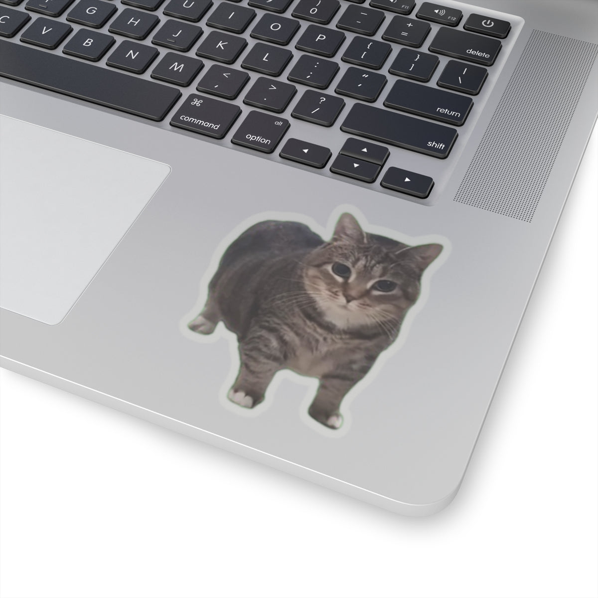 OIA AI Cat Kiss-Cut Stickers for Pet Lovers