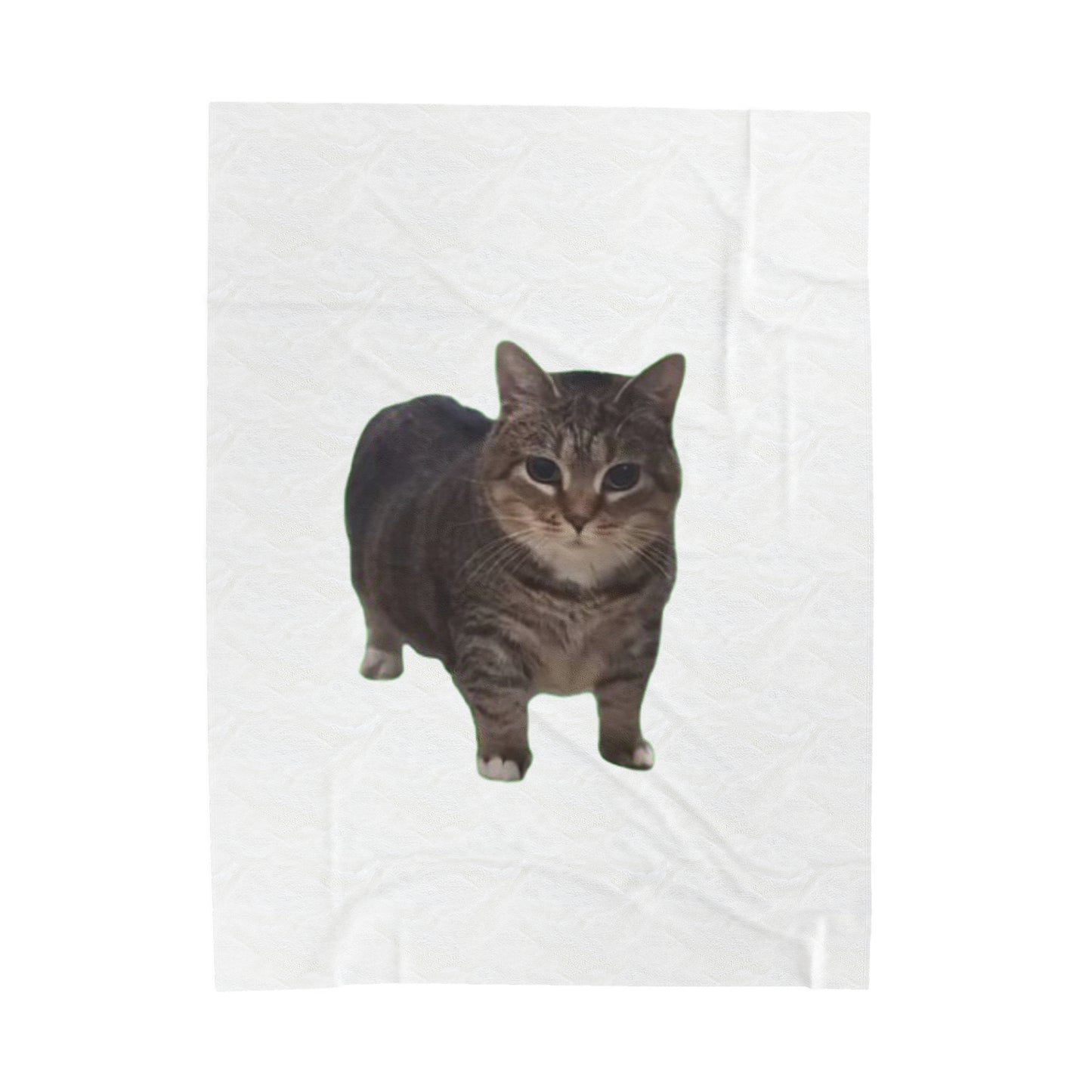 Cozy OIA AI Cat Velveteen Plush Blanket - Perfect Gift for Cat Lovers