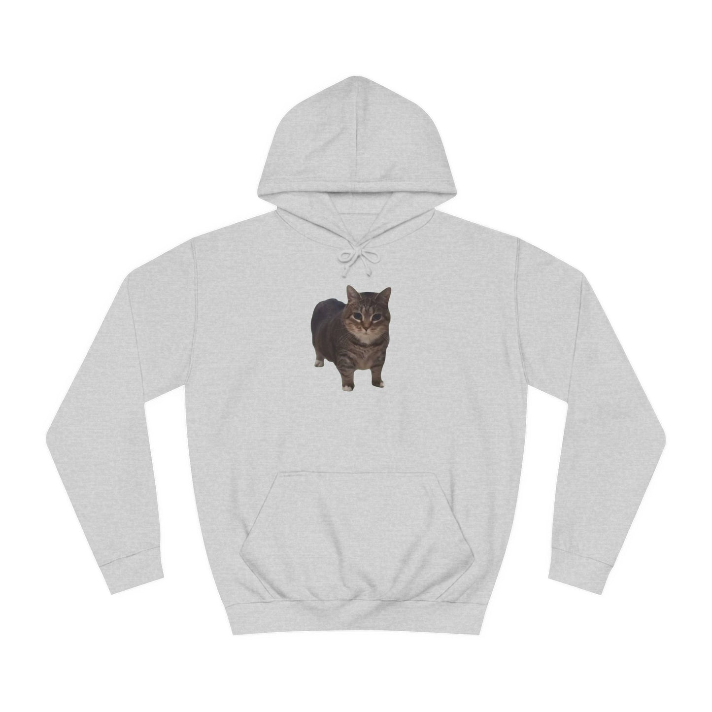 Unisex College Hoodie - Cat Design with 'OIAI OUI AI' Back Print