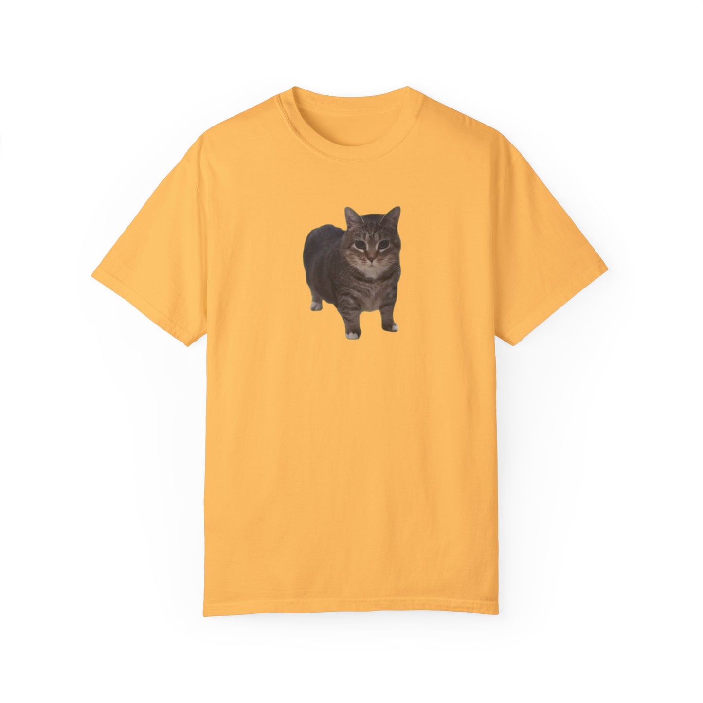 Unisex Garment-Dyed T-shirt OIA AI cat large logo