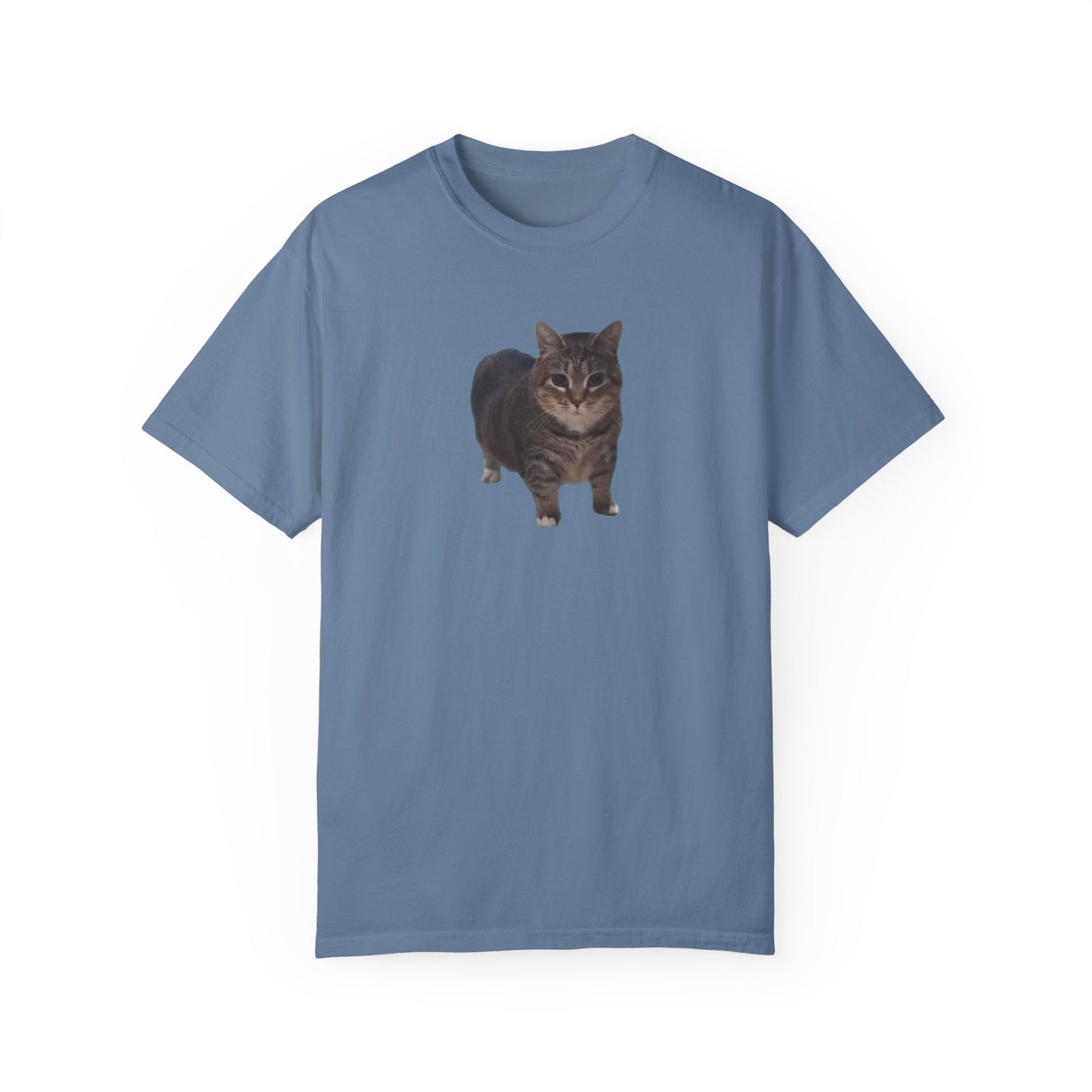 Unisex Garment-Dyed T-shirt OIA AI cat large logo