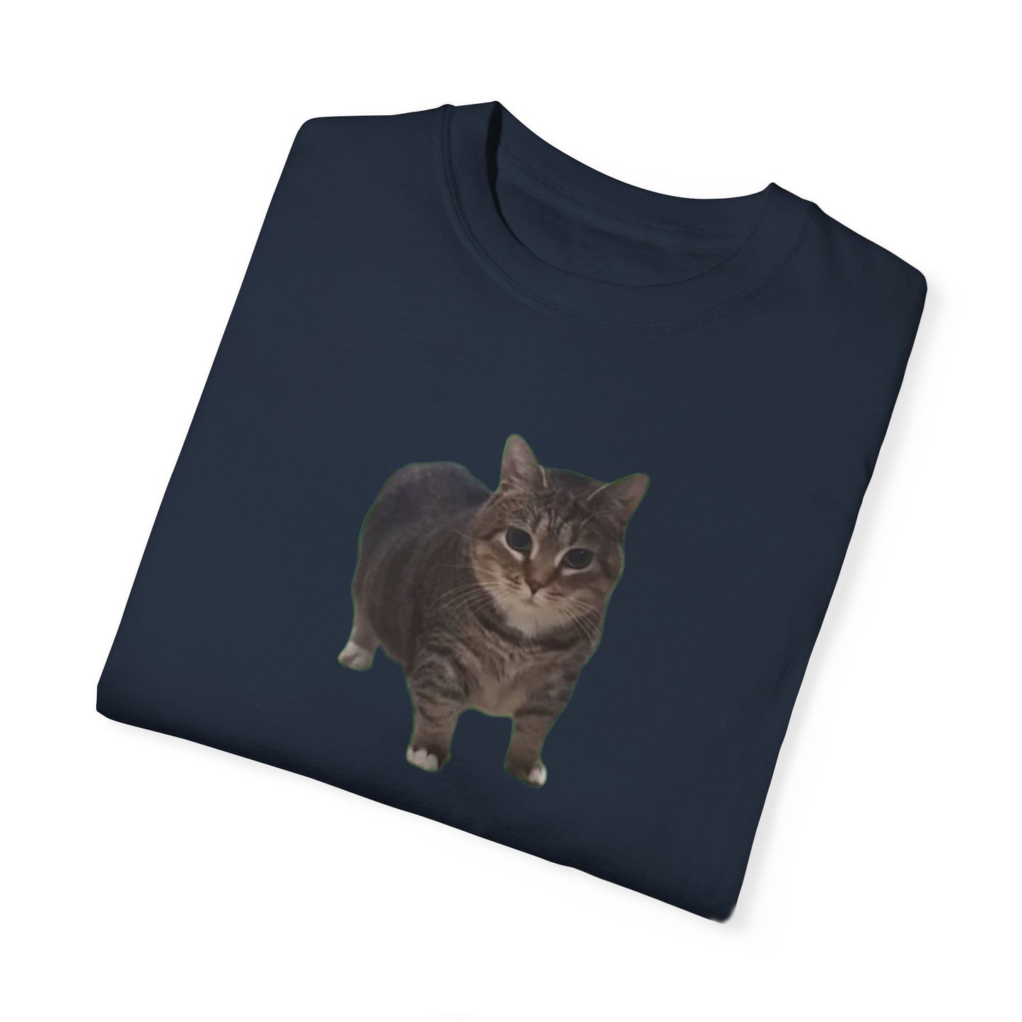 Unisex Garment-Dyed T-shirt OIA AI cat large logo