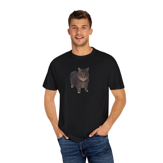 Unisex Garment-Dyed T-shirt OIA AI cat large logo