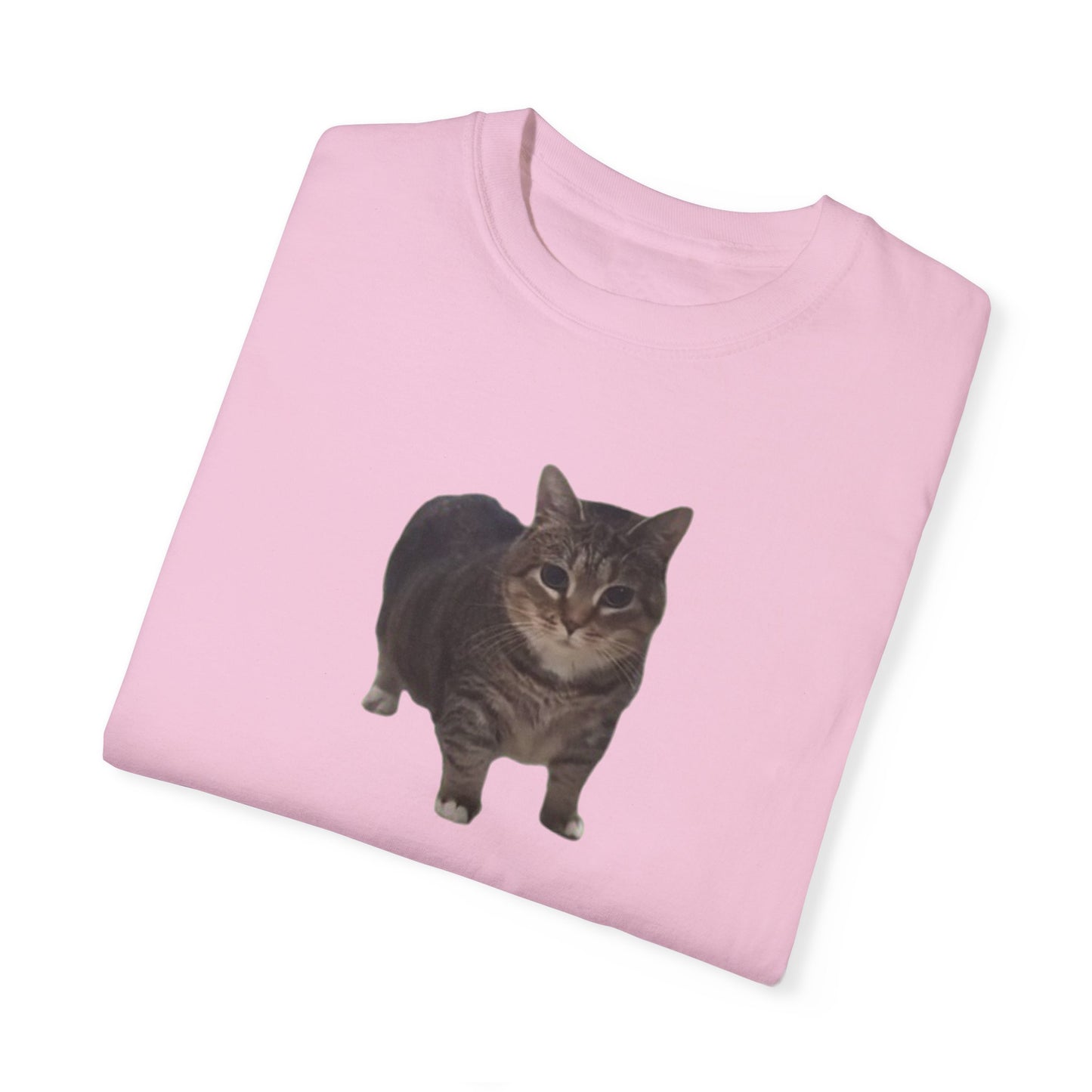 Unisex Garment-Dyed T-shirt OIA AI cat large logo