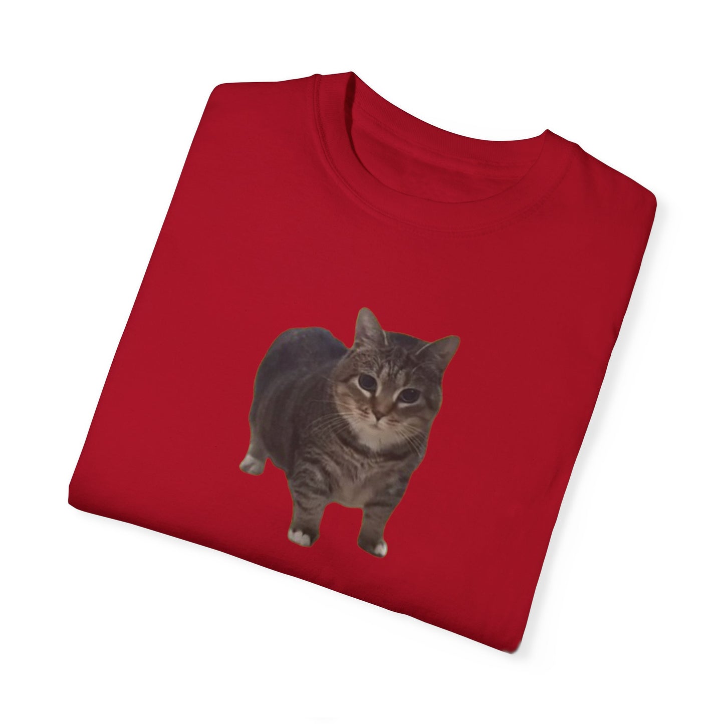 Unisex Garment-Dyed T-shirt OIA AI cat large logo