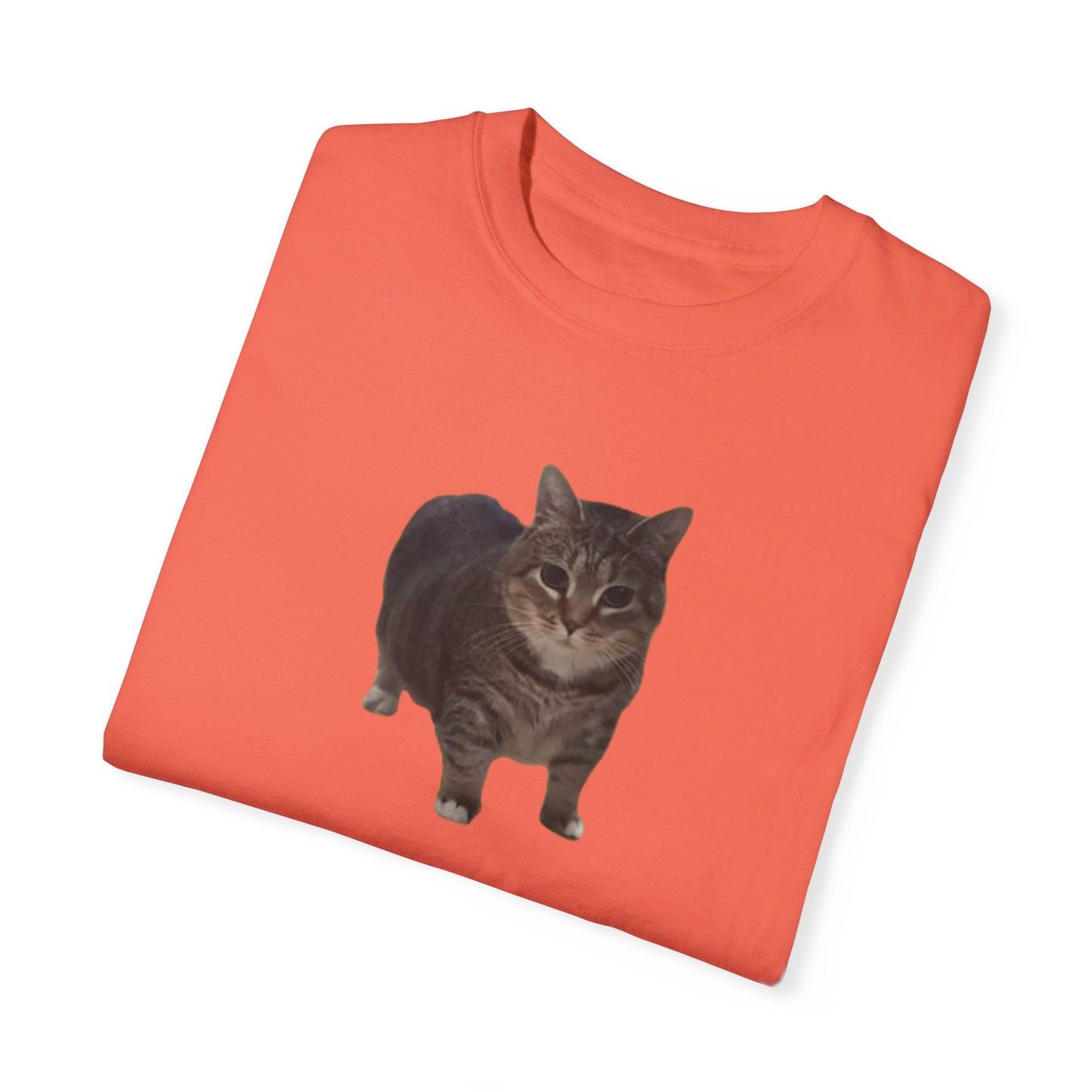 Unisex Garment-Dyed T-shirt OIA AI cat large logo