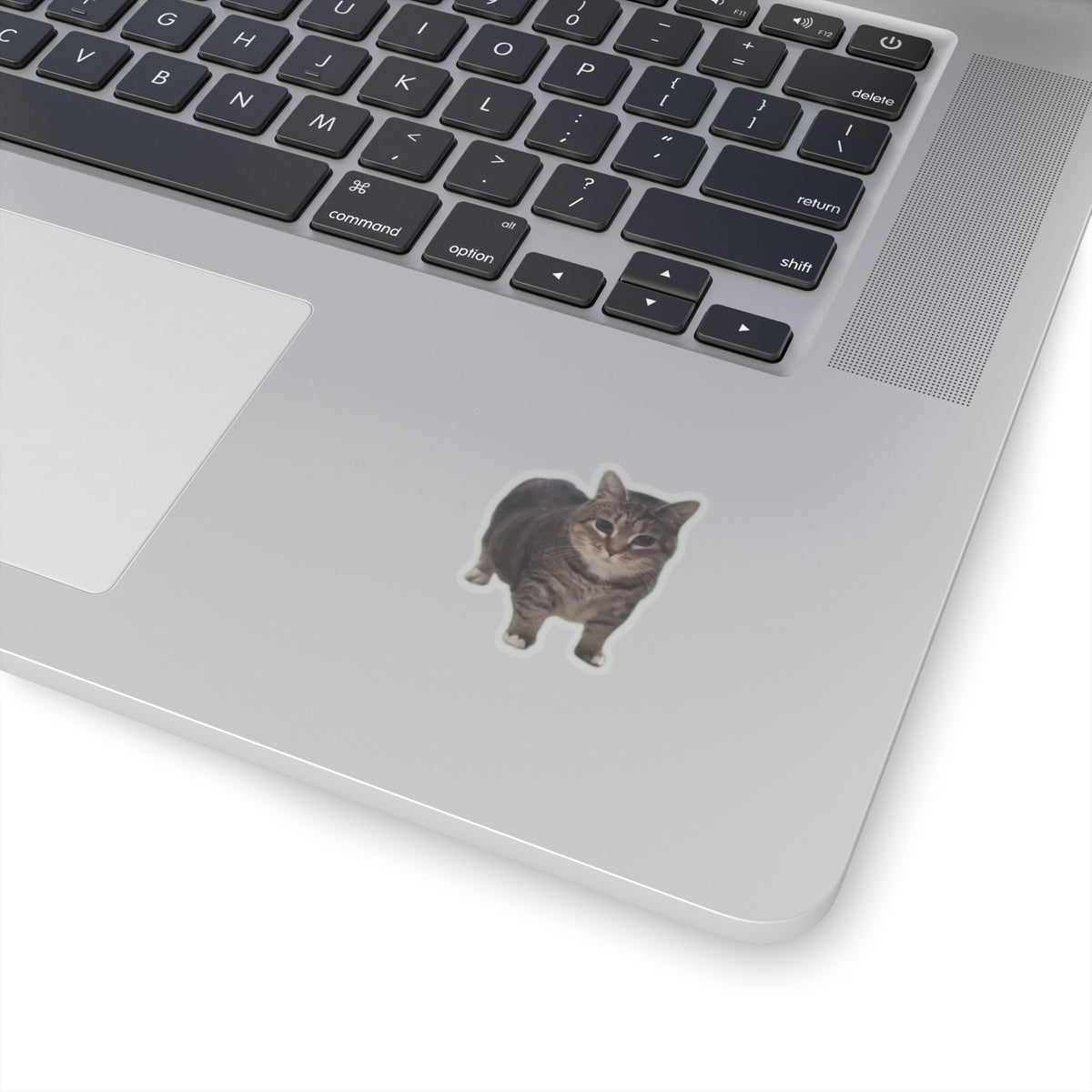 OIA AI Cat Kiss-Cut Stickers for Pet Lovers