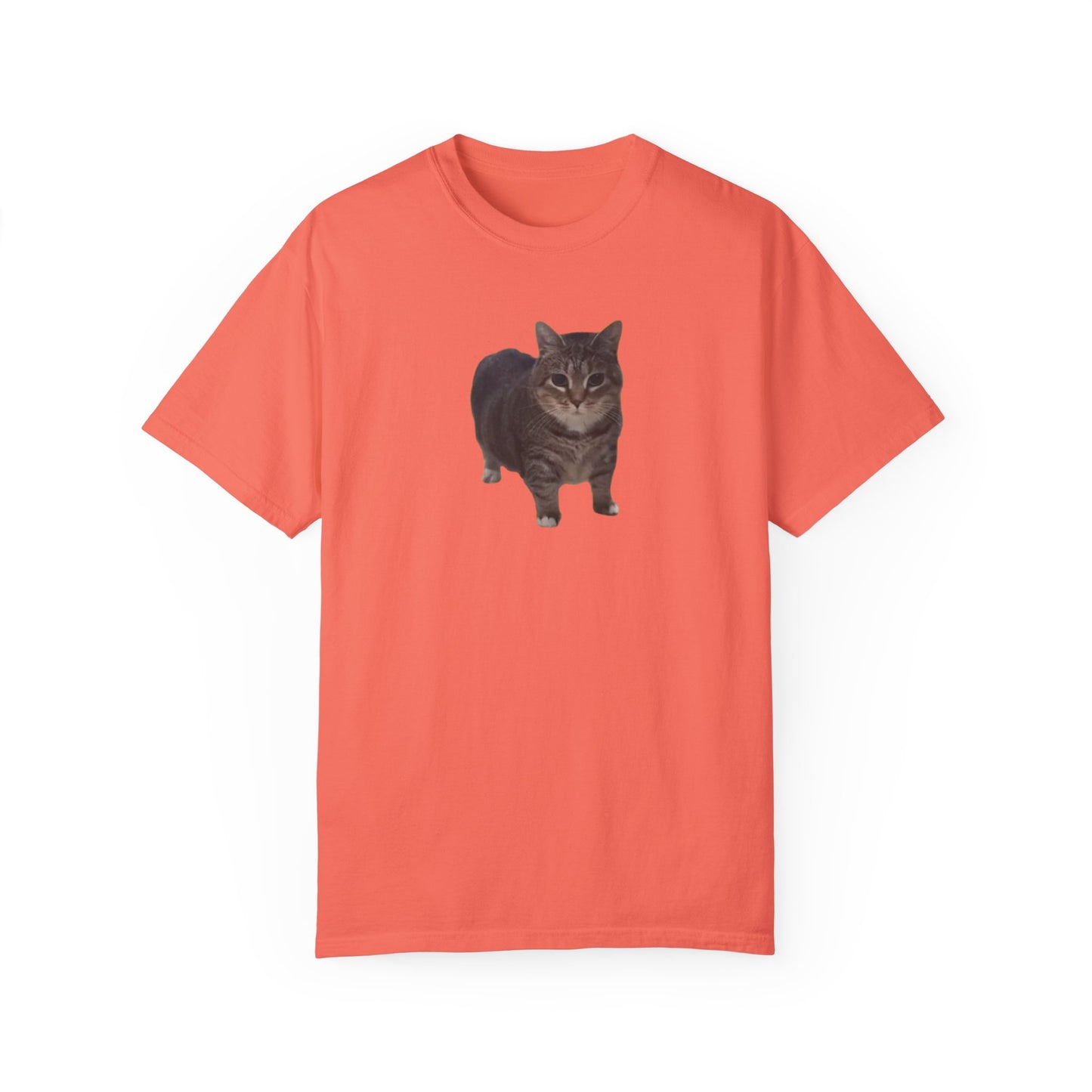 Unisex Garment-Dyed T-shirt OIA AI cat large logo