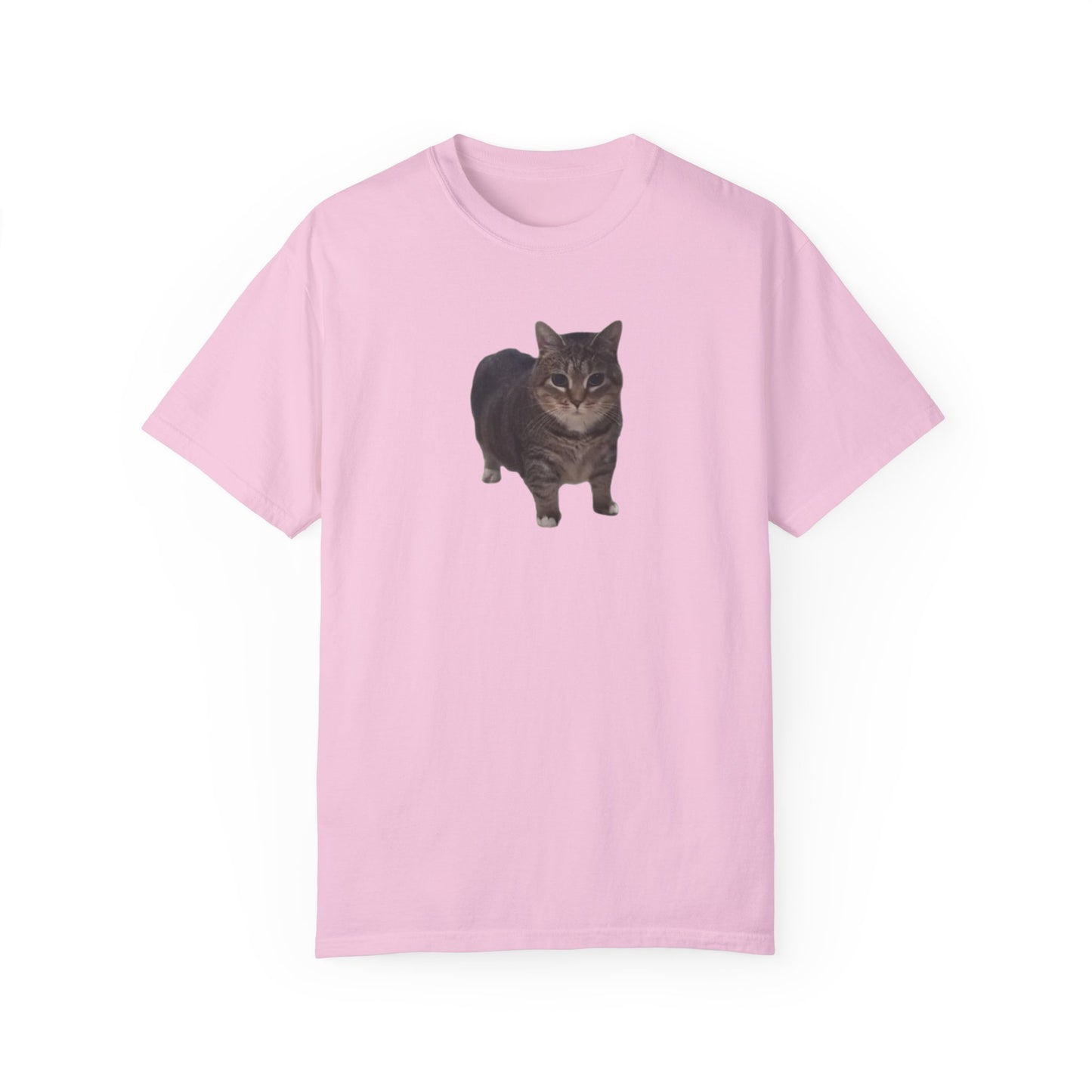 Unisex Garment-Dyed T-shirt OIA AI cat large logo